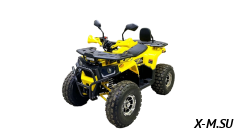 Квадроцикл Bison Fisher 125 Lux