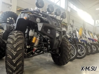 Квадроцикл PROMAX LEO 300 Max (кардан)