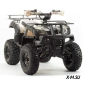 Квадроцикл PROMAX ATV 250